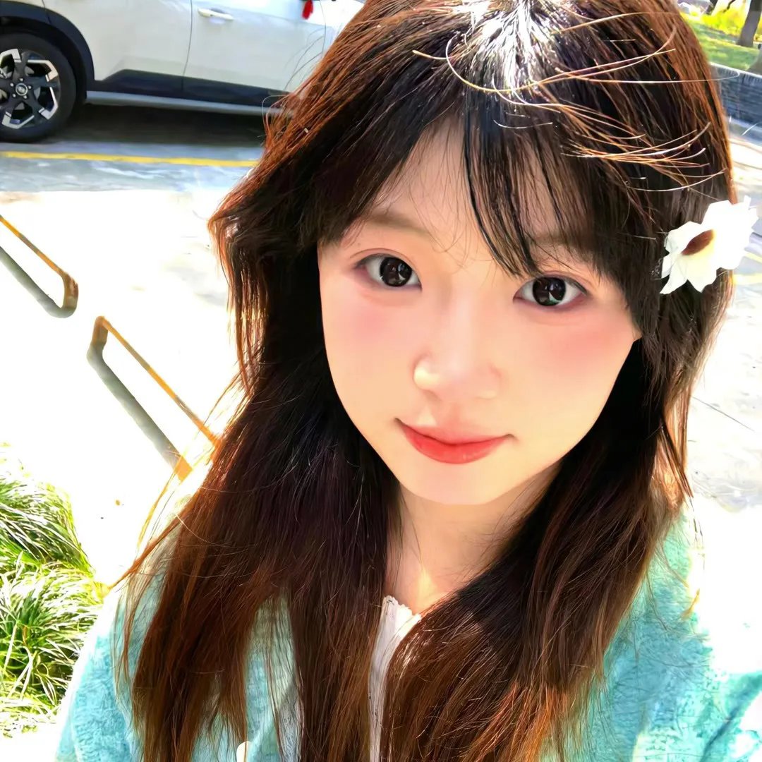 霸王花 封面