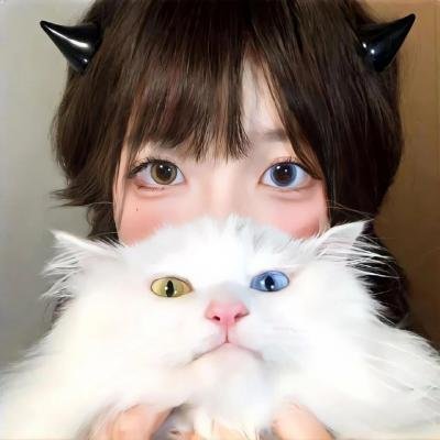 梦里花落知多少 封面